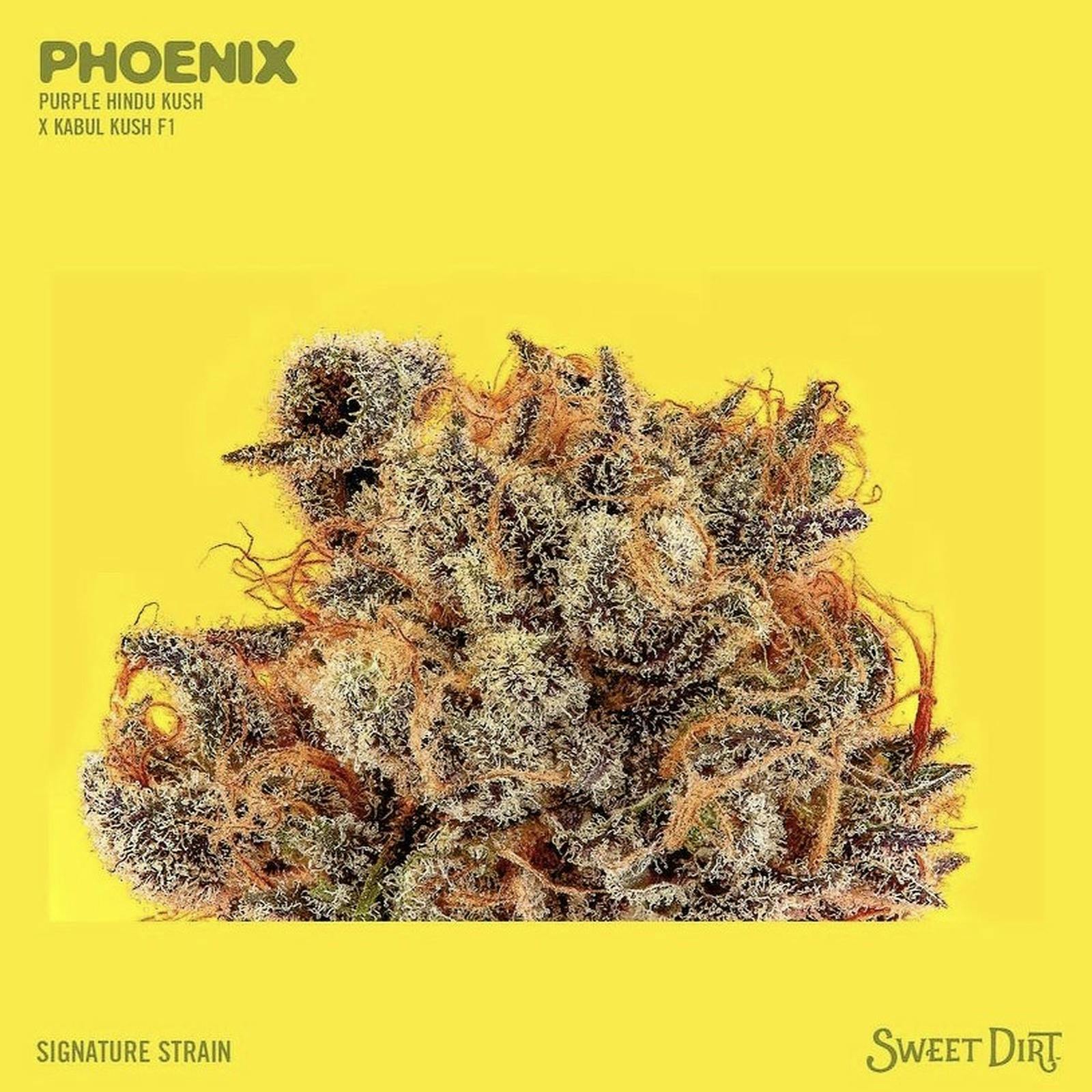 Phoenix
